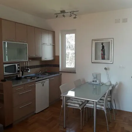 Studio Jasna Apartament *